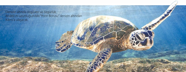 Deniz Kaplumbağalarının Korunmasını Destekliyoruz.
